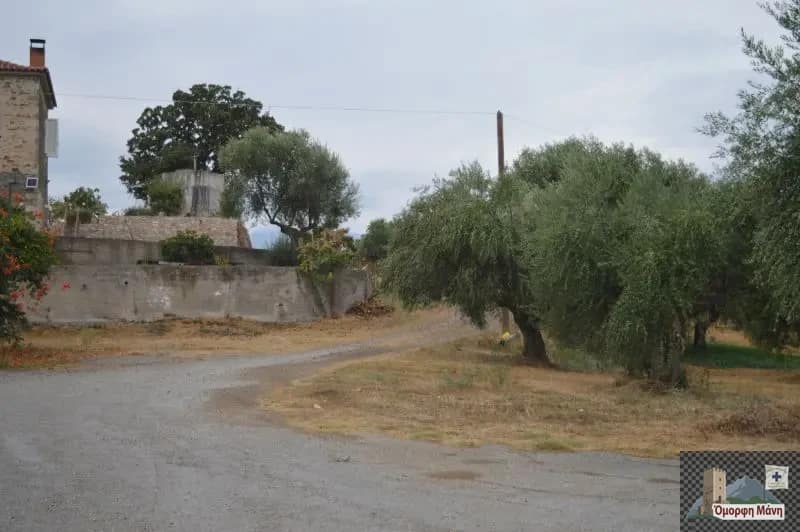 Άγιος Βασίλειος Γύθειο (9)